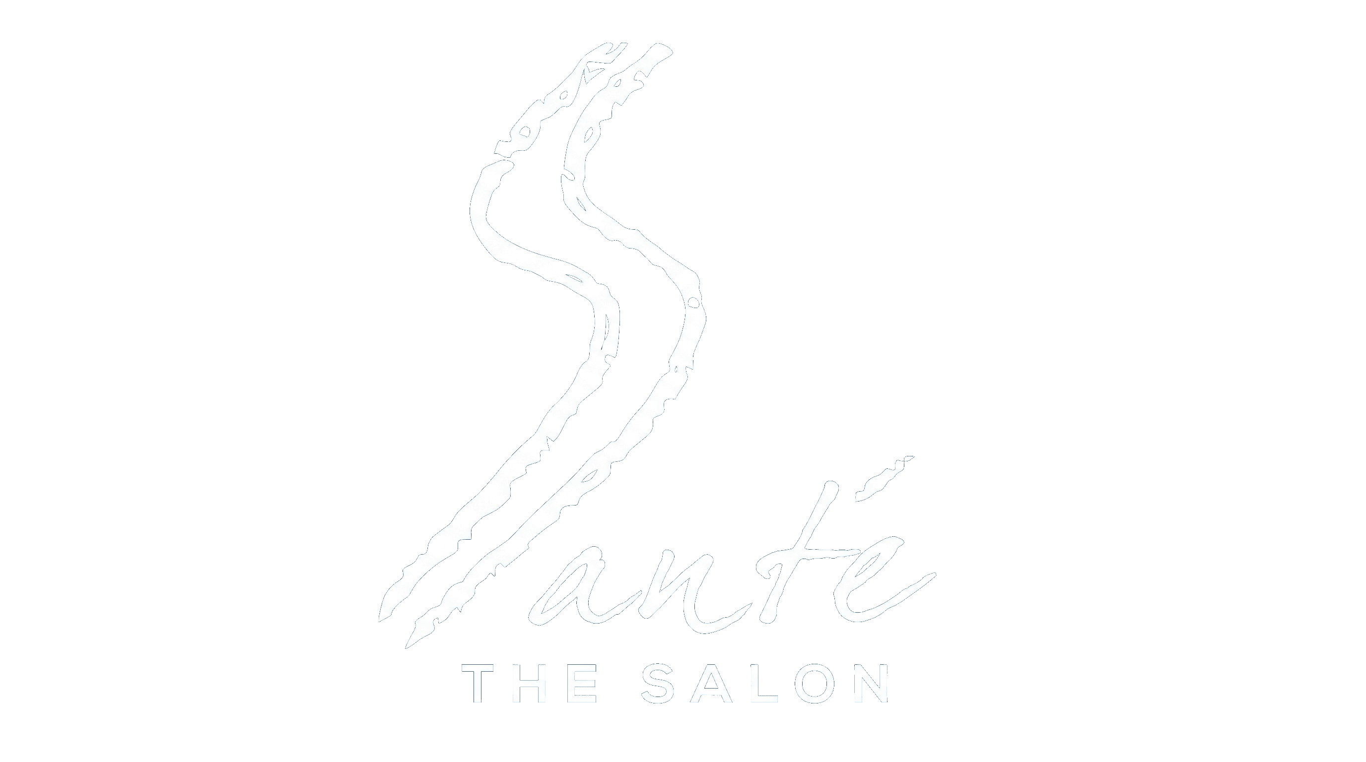 Santé The Salon